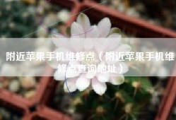 附近苹果手机维修点（附近苹果手机维修点查询地址）