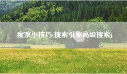 度娘小技巧(搜索引擎高级搜索)