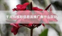 千川投放和信息流推广有什么区别