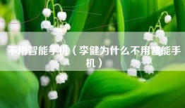 不用智能手机（李健为什么不用智能手机）