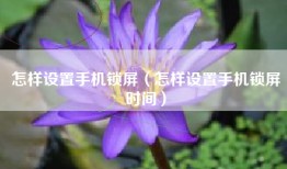 怎样设置手机锁屏（怎样设置手机锁屏时间）