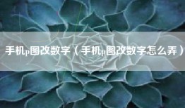 手机p图改数字（手机p图改数字怎么弄）
