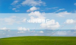 SEO网络推广