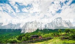 手机锁解不开（手机锁解不开怎么恢复出厂设置）