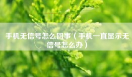 手机无信号怎么回事（手机一直显示无信号怎么办）