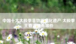 中国十大太极拳非物质文化遗产 太极拳主要流派有哪些