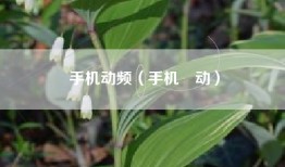 手机动频（手机桭动）
