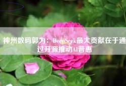 神州数码郭为：DeepSeek最大贡献在于通过开源推动AI普惠
