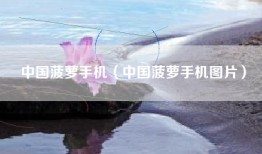 中国菠萝手机（中国菠萝手机图片）