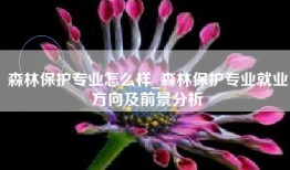 森林保护专业怎么样_森林保护专业就业方向及前景分析