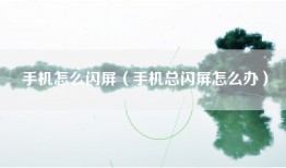 手机怎么闪屏（手机总闪屏怎么办）