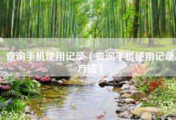 查询手机使用记录（查询手机使用记录方法）
