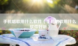 手机唱歌用什么软件（手机唱歌用什么软件好听）