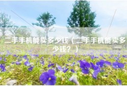 二手手机能卖多少钱（二手手机能卖多少钱？）