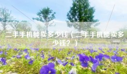 二手手机能卖多少钱（二手手机能卖多少钱？）