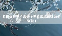 怎样恢复手机数据（手机数据清除如何恢复）