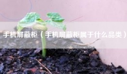 手机屏蔽柜（手机屏蔽柜属于什么品类）