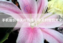 手机报价中关村在线（中关村报价大全手机）