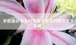 手机报价中关村在线（中关村报价大全手机）