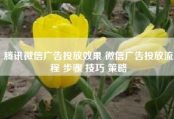 腾讯微信广告投放效果 微信广告投放流程 步骤 技巧 策略