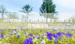 2021年网站上线前应做些基本SEO优化工作电脑资料