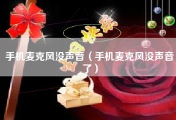 手机麦克风没声音（手机麦克风没声音了）