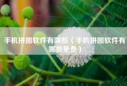 手机拼图软件有哪些（手机拼图软件有哪些免费）