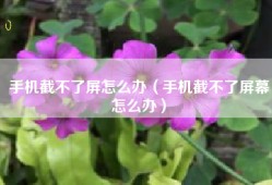 手机截不了屏怎么办（手机截不了屏幕怎么办）