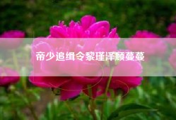 帝少追缉令黎瑾泽顾蔓蔓