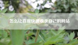 怎么让百度快速收录自己的网站