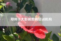 郑州十大影视剪辑培训机构
