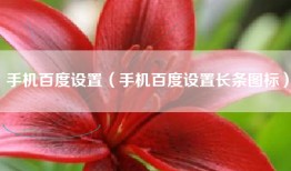 手机百度设置(手机百度设置长条图标)