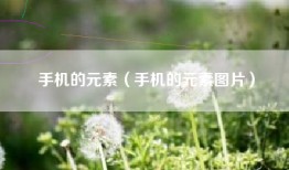 手机的元素（手机的元素图片）
