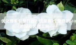 优化搜索引擎好难？这里有6个免费的SEO追踪及优化工具……