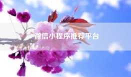 微信小程序推荐平台