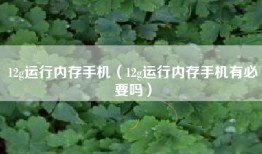 12g运行内存手机（12g运行内存手机有必要吗）