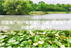 百度推广开户需要多少钱呢_百度推广开户需要什么资料？