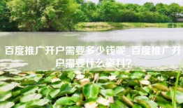 百度推广开户需要多少钱呢_百度推广开户需要什么资料？