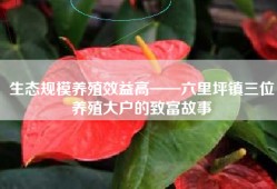 生态规模养殖效益高——六里坪镇三位养殖大户的致富故事