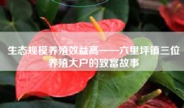 生态规模养殖效益高——六里坪镇三位养殖大户的致富故事