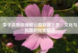 李子柒带你领略云南非遗之美：文化与风景的完美结合