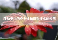 移动支付的安全性和识别技术的应用