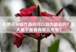 心理咨询师作真的可以做为副业吗？收入是不是真有那么夸张？
