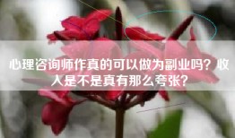 心理咨询师作真的可以做为副业吗？收入是不是真有那么夸张？