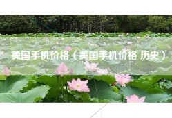 美国手机价格（美国手机价格 历史）