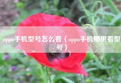 oppo手机型号怎么看（oppo手机那里看型号）