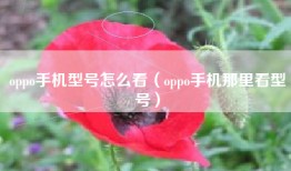 oppo手机型号怎么看（oppo手机那里看型号）