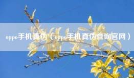 oppo手机真伪（oppo手机真伪查询官网）