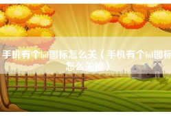 手机有个hd图标怎么关（手机有个hd图标怎么关掉）