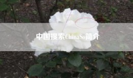 中国搜索ChinaSo简介